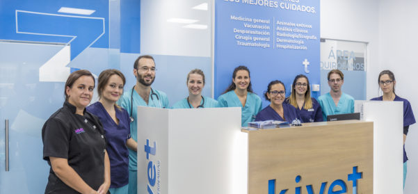 Equipo
