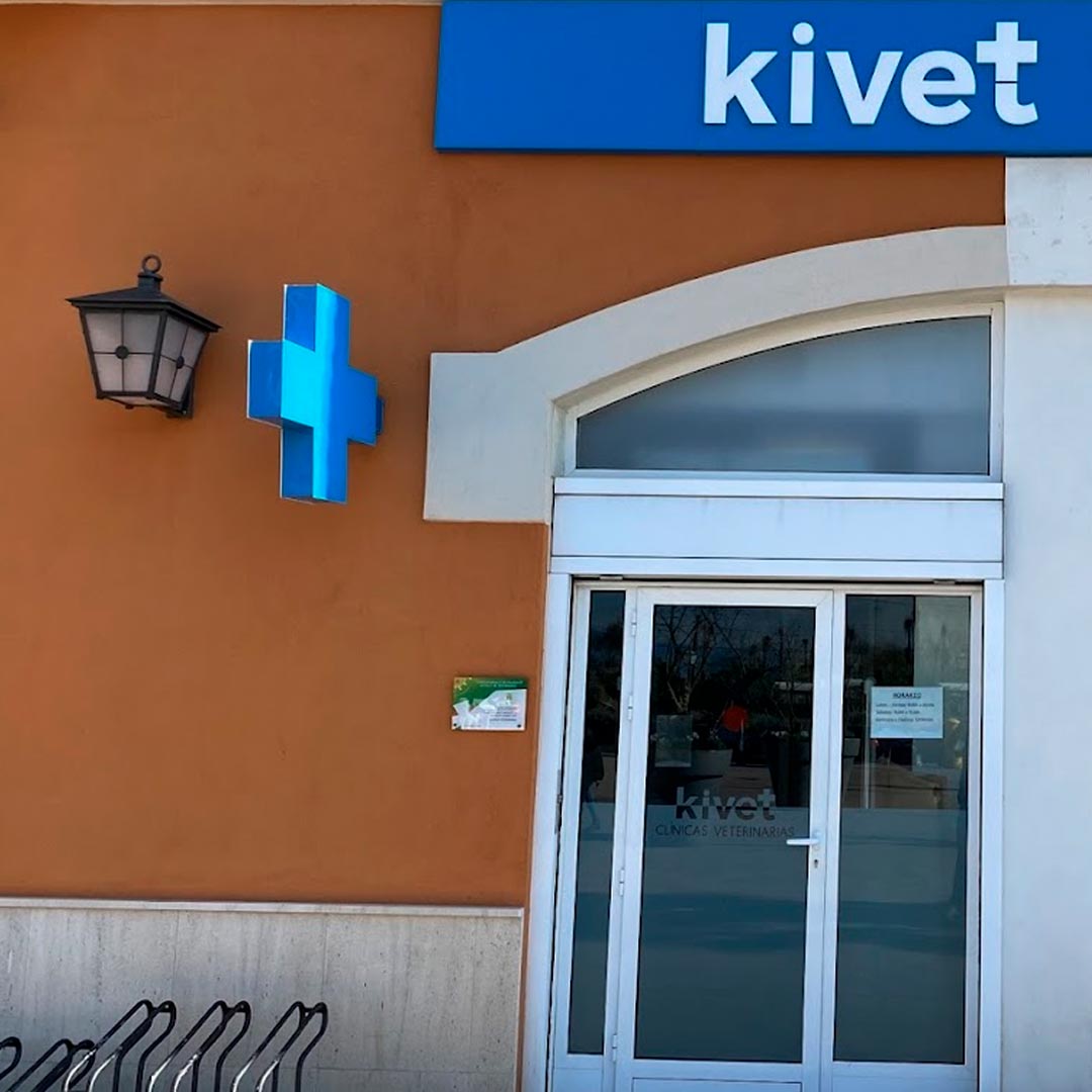 clinicas-veterinarias-en-malaga-kivet-plaza-mayor