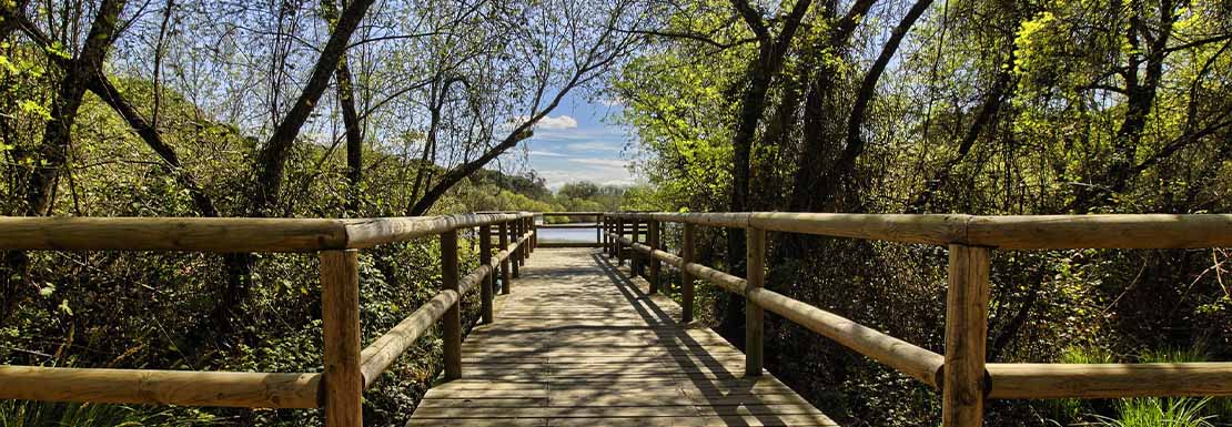 clinicas-veterinarias-en-huelva