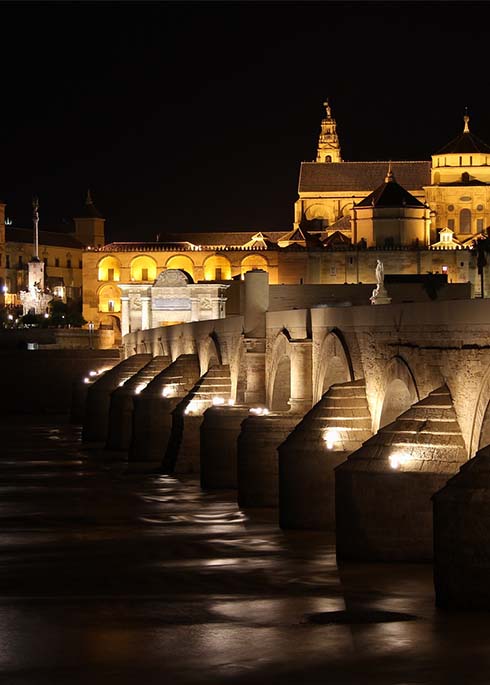 veterinarios-en-cordoba