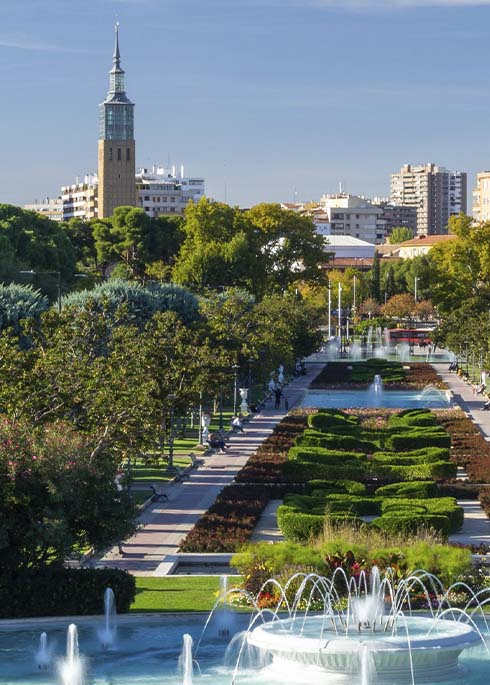 veterinarios-en-zaragoza