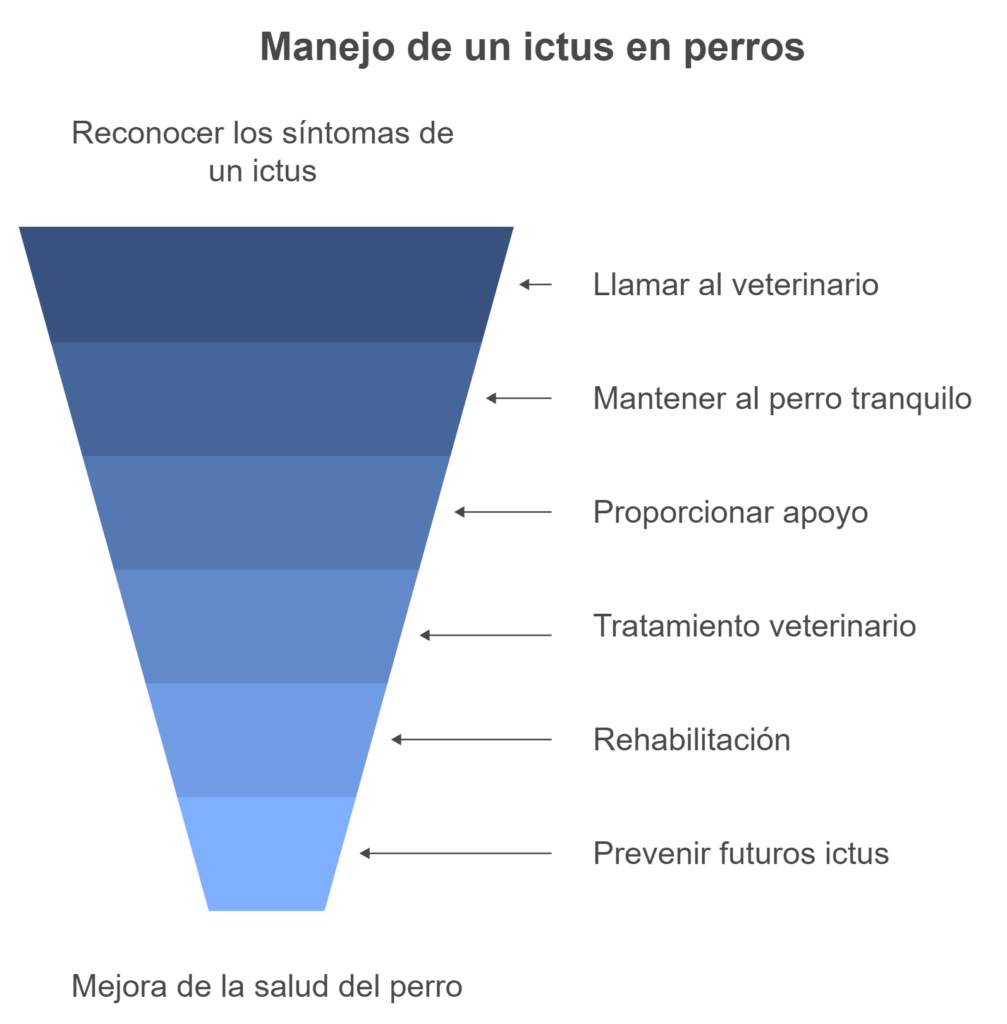 manejo de un ictus en perros