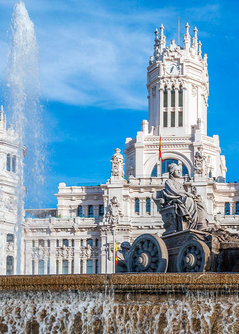 veterinarios-en-madrid