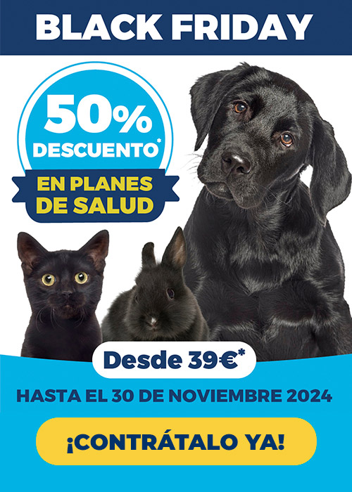 Landing-Banner-Campana-Black-Friday-Noviembre-2024-Kivet-Mobile-version