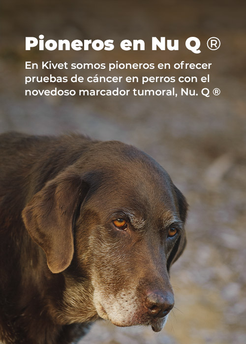 banner-kivet-pionera-en-nu-q-prueba-deteccion-cancer-mobile