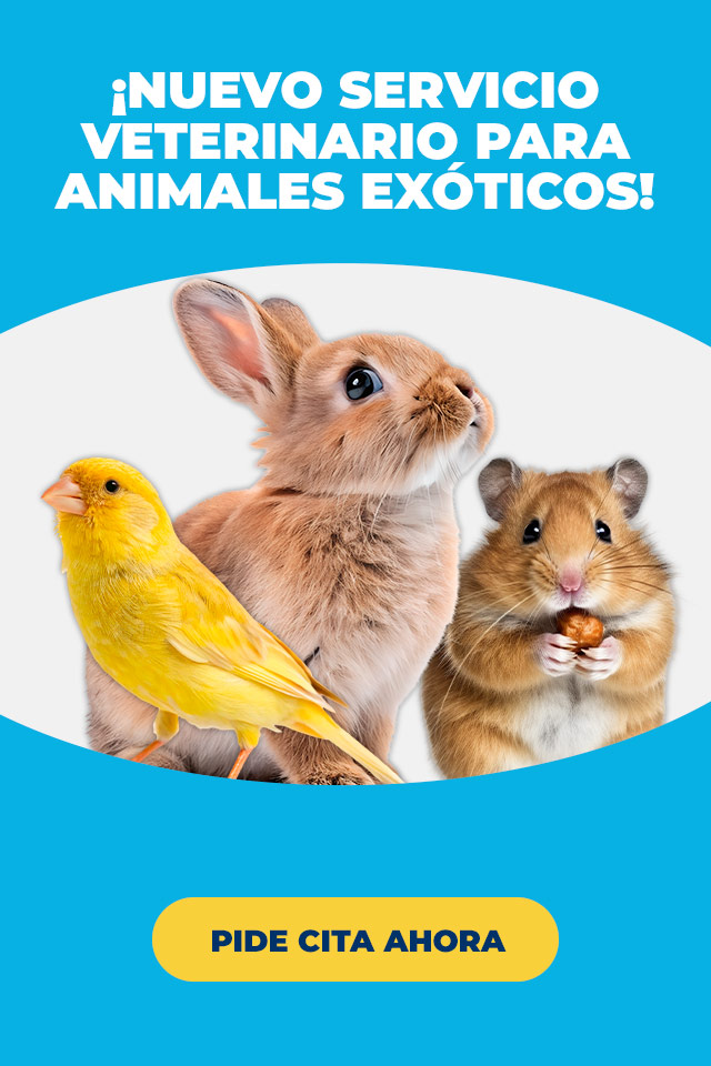 Nuevo-servicio-veterinario-exoticos-madrid-promo-general-mobile