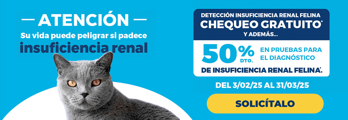 banner-insuficiencia-renal-felina-kivet-febrero-marzo-2025-desktop-fecha