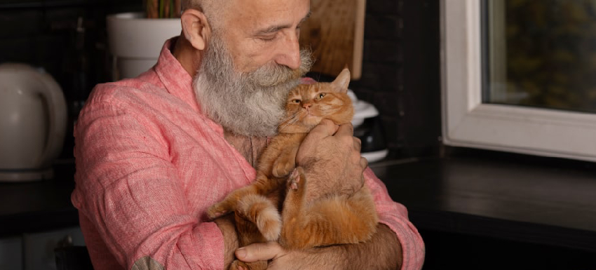 delgadez en gatos ancianos